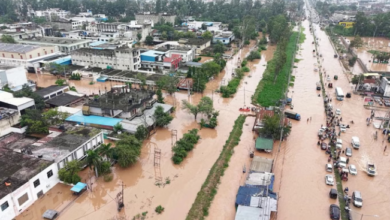 Photo of हरियाणा : हाईवे पर नदियां वाहनों पर ब्रेक, छह तक स्कूल बंद