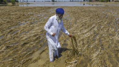Photo of पंजाब: बाढ़ पीड़ित किसानों की मदद के लिए पीलीभीत के कई गांवों आगे आए