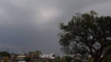 Photo of राजस्थान: अगले दो दिन इन जिलों के लिए बारिश का यलो अलर्ट