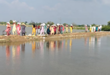 Photo of हरियाणा: सिरसा में घग्गर नदी से 40 गांवों में बाढ़ का खतरा