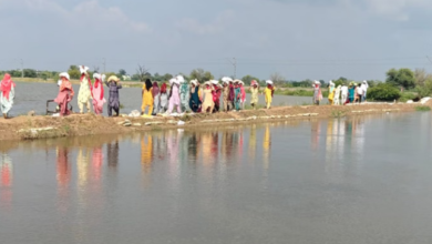 Photo of हरियाणा: सिरसा में घग्गर नदी से 40 गांवों में बाढ़ का खतरा