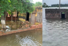 Photo of पंजाब: लोगों की आंखों में उमड़ा दर्द का समंदर, फसल बचने की आस टूटी