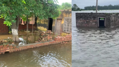 Photo of पंजाब: लोगों की आंखों में उमड़ा दर्द का समंदर, फसल बचने की आस टूटी