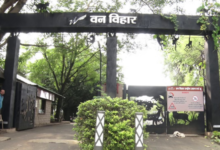 Photo of मध्य प्रदेश: वन विहार में इसी महीने बंद होगा निजी वाहनों का प्रवेश