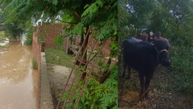 Photo of पंजाब: खुद का गांव दस फुट पानी में डूबा, फिर भी राहत कैंपों में दूध पहुंचाने में जुटे ग्रामीण