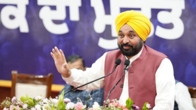 Photo of पंजाब: सीएम मान बोले- सत्यापन के बाद काश्तकारों को ही मिलेगा मुआवजा