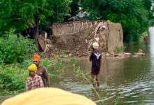 Photo of पंजाब: बाढ़ ने किया बर्बाद न खेत दिख रहा न सड़क, चारों ओर पानी ही पानी