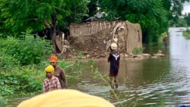 Photo of पंजाब: बाढ़ ने किया बर्बाद न खेत दिख रहा न सड़क, चारों ओर पानी ही पानी