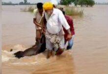 Photo of पंजाब: युद्ध स्तर पर राहत और पुनर्वास कार्य जारी…