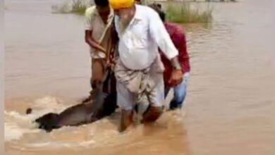 Photo of पंजाब: युद्ध स्तर पर राहत और पुनर्वास कार्य जारी…