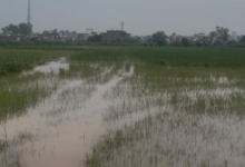 Photo of हरियाणा: मारकंडा, खतरे के निशान से 11 हजार क्यूसेक नीचे आया पानी का बहाव