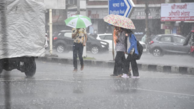 Photo of मध्य प्रदेश:  मंडला, डिंडौरी, अनूपपुर-बालाघाट तेज आज बारिश का अलर्ट