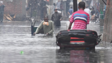 Photo of आधे हरियाणा से मानसून विदा, पांच दिन में अधिकतम तापमान दो डिग्री बढ़ा