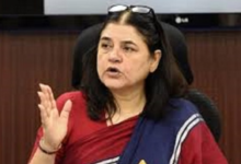 Photo of उत्तराखंड: बीजेपी नेता मेनका गांधी ने वन महकमे की भूमिका पर उठाए सवाल