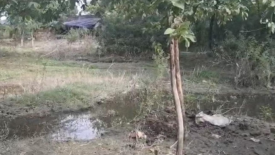Photo of बाढ़ के पानी में डुबोकर बुजुर्ग मां को मारा