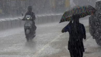 Photo of हरियाणा में अगले दो दिनों में आंधी और भारी बारिश का अलर्ट