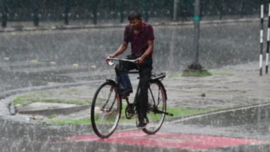 Photo of हरियाणा में होगी हल्की से मध्यम बारिश, हवाओं की दिशा में होगा बदलाव