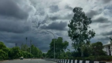 Photo of मध्य प्रदेश में दिन में तेज धूप, रात में हल्की ठंडक शुरू