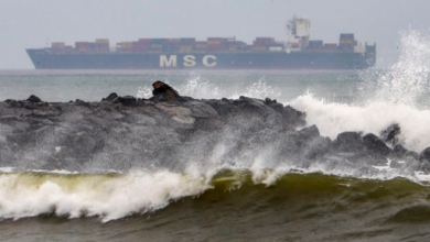 Photo of आज ओडिशा पहुंचेगा मोंथा, भारी बारिश का दौर