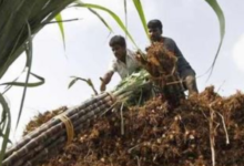 Photo of हरियाणा के किसानों को दिवाली की सौगात