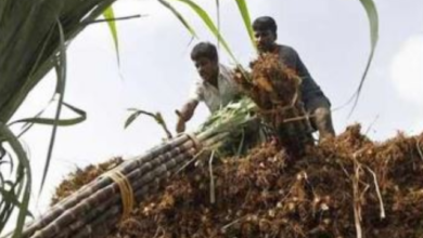 Photo of हरियाणा के किसानों को दिवाली की सौगात