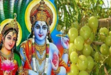 Photo of अक्षय नवमी की रात करें आंवले से जुड़े ये उपाय