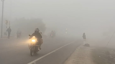 Photo of हरियाणा:  दिन का तापमान 3.5 डिग्री तक गिरा, पहाड़ों में बर्फबारी से ठंड का अहसास