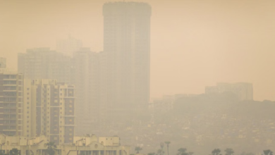 Photo of हरियाणा की हवा हुई जहरीली: 300 से ऊपर रहा AQI