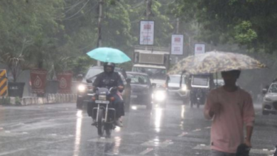 Photo of मध्य प्रदेश के दक्षिणी जिलों में बदला मौसम