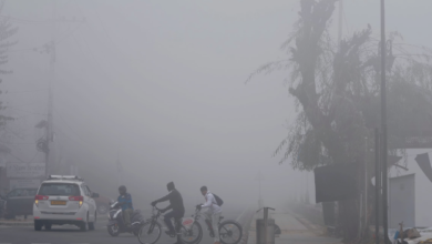 Photo of पंजाब के मौसम में बदलाव,  ठंड ने धीरे-धीरे दी दस्तक