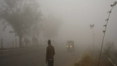 Photo of राजस्थान में चक्रवाती बारिश से बढ़ी ठंड, 13 जिलों में यलो अलर्ट