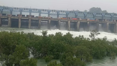 Photo of पंजाब:  सीआईएसएफ ने संभाली भाखड़ा बांध परियोजना की सुरक्षा