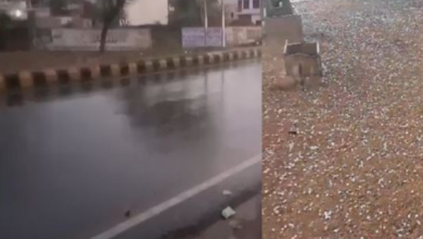 Photo of हरियाणा में येलो और ऑरेंज अलर्ट,5-8 अक्टूबर तक बारिश-ओलावृष्टि की संभावना