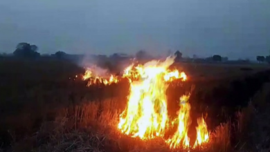 Photo of पंजाब में जल रही ज्यादा पराली… आने वाले दिनों में और जहरीली होगी हवा