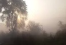 Photo of राजस्थान में उत्तरी हवाओं के सक्रिय रहने से सर्दी का असर जारी