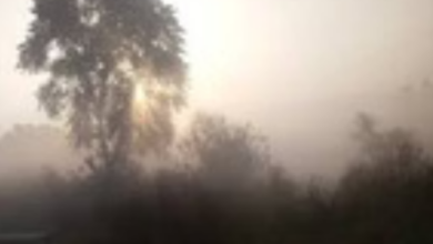Photo of राजस्थान में उत्तरी हवाओं के सक्रिय रहने से सर्दी का असर जारी