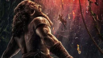 Photo of चीते की रफ्तार से बॉक्स ऑफिस पर दौड़ी कांतारा