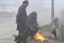 Photo of राजस्थान: उत्तरी हवाओं ने बढ़ाई सर्दी, तापमान 5°C से नीचे