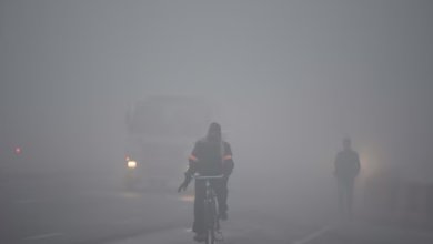 Photo of झारखंड के सात जिलों में शीतलहर की चेतावनी