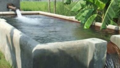 Photo of दिल्ली के भूजल में यूरेनियम का स्तर सुरक्षित मानक से अधिक