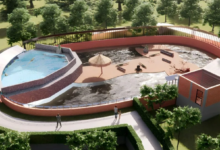 Photo of संबलपुर चिड़ियाघर में बनेगा ओडिशा का पहला ‘ग्लास व्यू टाइगर एन्क्लोजर