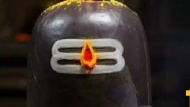 Photo of मोक्षदा एकादशी के दिन शिवलिंग पर चढ़ाएं ये चीजें