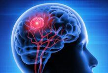 Photo of वैज्ञानिकों ने सुलझाया दिमाग का यह रहस्य