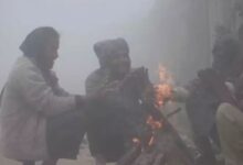 Photo of एमपी में 15 दिन से कड़ाके की ठंड, आज इन 7 जिलों में शीतलहर का अलर्ट