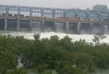 Photo of पंजाब के बांध कितने सुरक्षित: चेक करेगी पंजाब सरकार