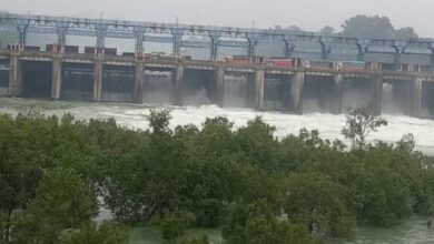 Photo of पंजाब के बांध कितने सुरक्षित: चेक करेगी पंजाब सरकार
