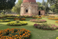 Photo of 550 साल पुरानी गुमटी शेख अली फिर बनेगी दिल्ली की शान