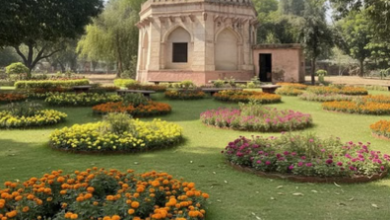 Photo of 550 साल पुरानी गुमटी शेख अली फिर बनेगी दिल्ली की शान