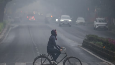 Photo of झारखंड में भीषण ठंड ने लोगों का हाल बेहाल, तापमान में गिरावट