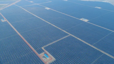 Photo of यूएई ने राजस्थान में शुरू किया ग्रीन एनर्जी मिशन